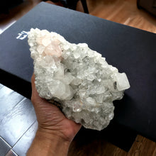 Load image into Gallery viewer, Apophyllite with Rare Pink Apophyllite
