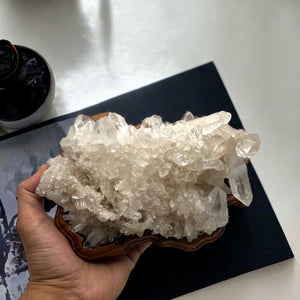 Himalayan Quartz with wooden stand