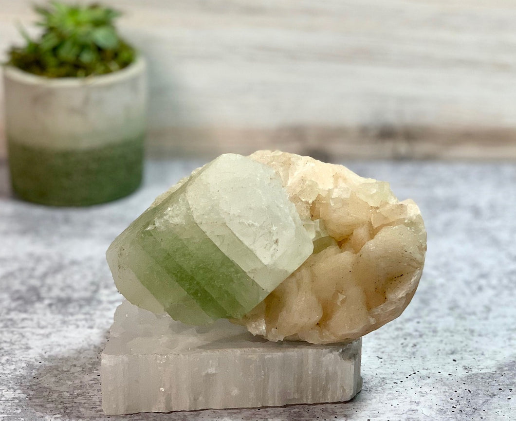 Green Apophyllite and Stilbite