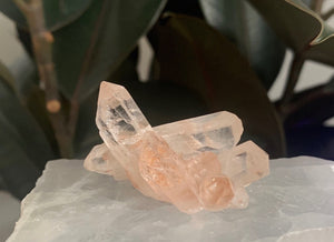 Pink Himalayan Quartz