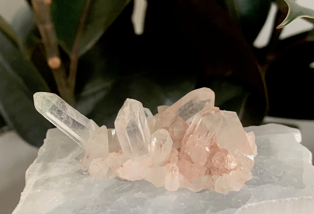 Pink Himalayan Quartz