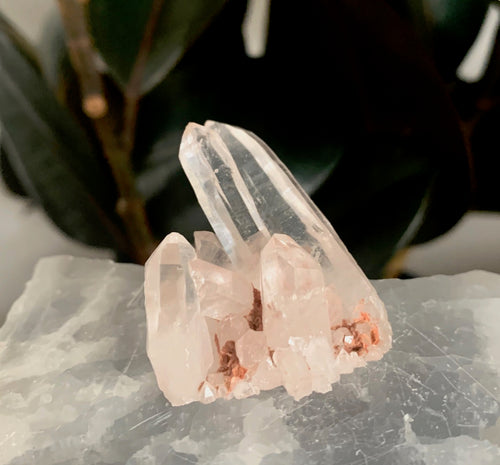 Pink Himalayan Quartz
