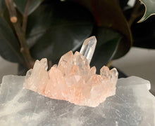 Load image into Gallery viewer, Pink Himalayan Quartz