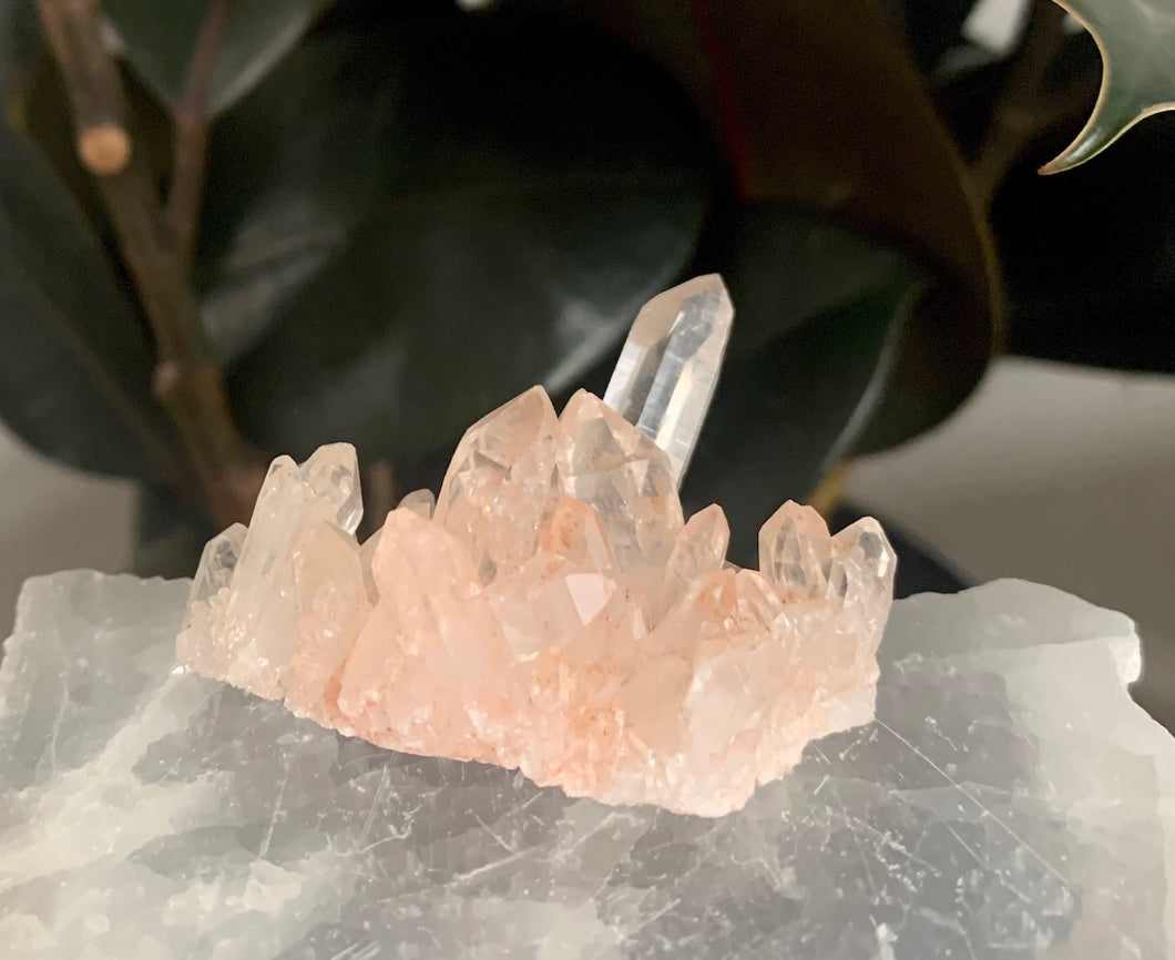 Pink Himalayan Quartz
