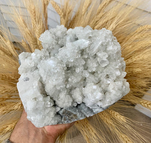 Apophyllite