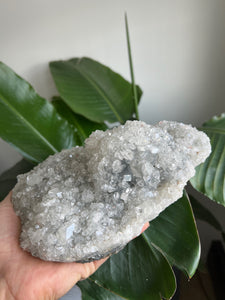 Gemmy Apophyllite