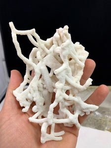 White Chalcedony Coral