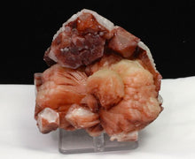 Load image into Gallery viewer, Red Apophyllite
