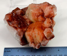 Load image into Gallery viewer, Red Apophyllite